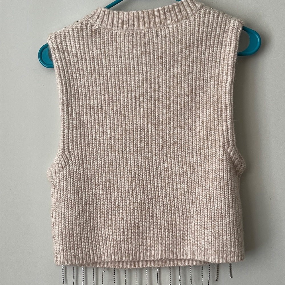 Forever 21 Beige Ribbed Sweater with Rhinestone Fringe - Picture 4 of 6